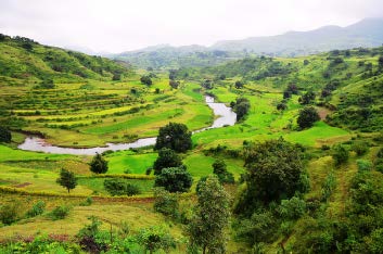 Watershed restoration landscape
