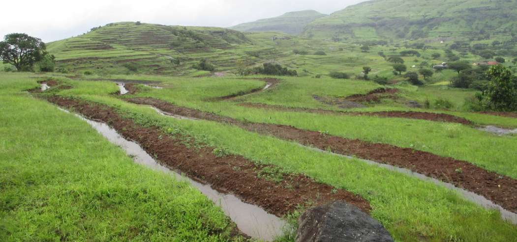 Watershed development for ecosystem-based adaptation